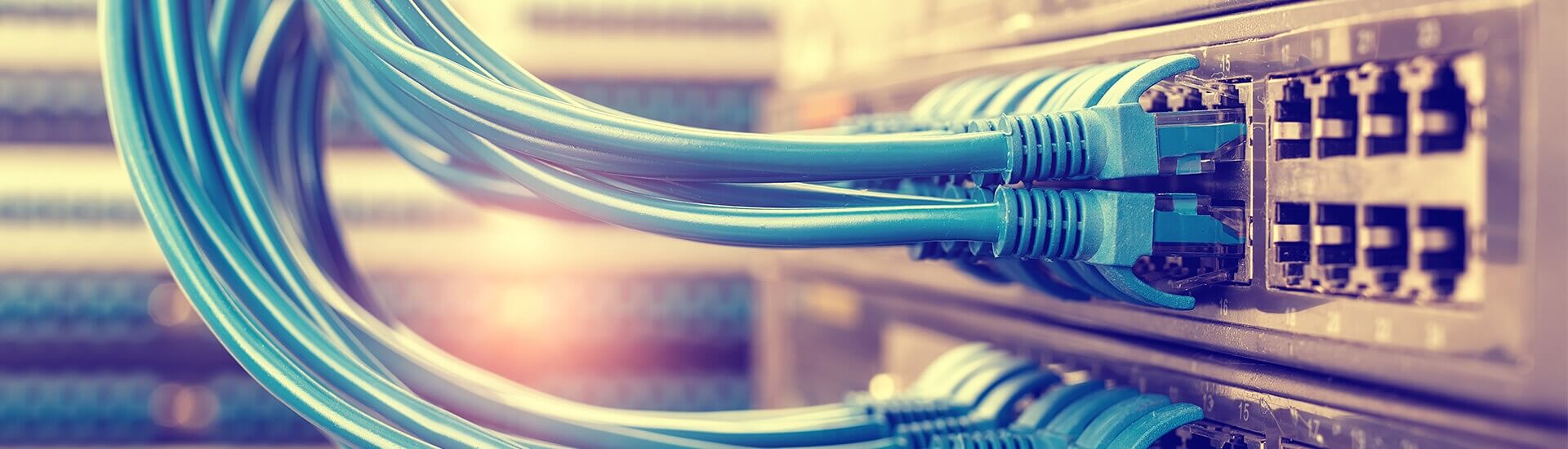 1920X550_1920X550_crop_25fd0fabdec628243ff57cc22711721a